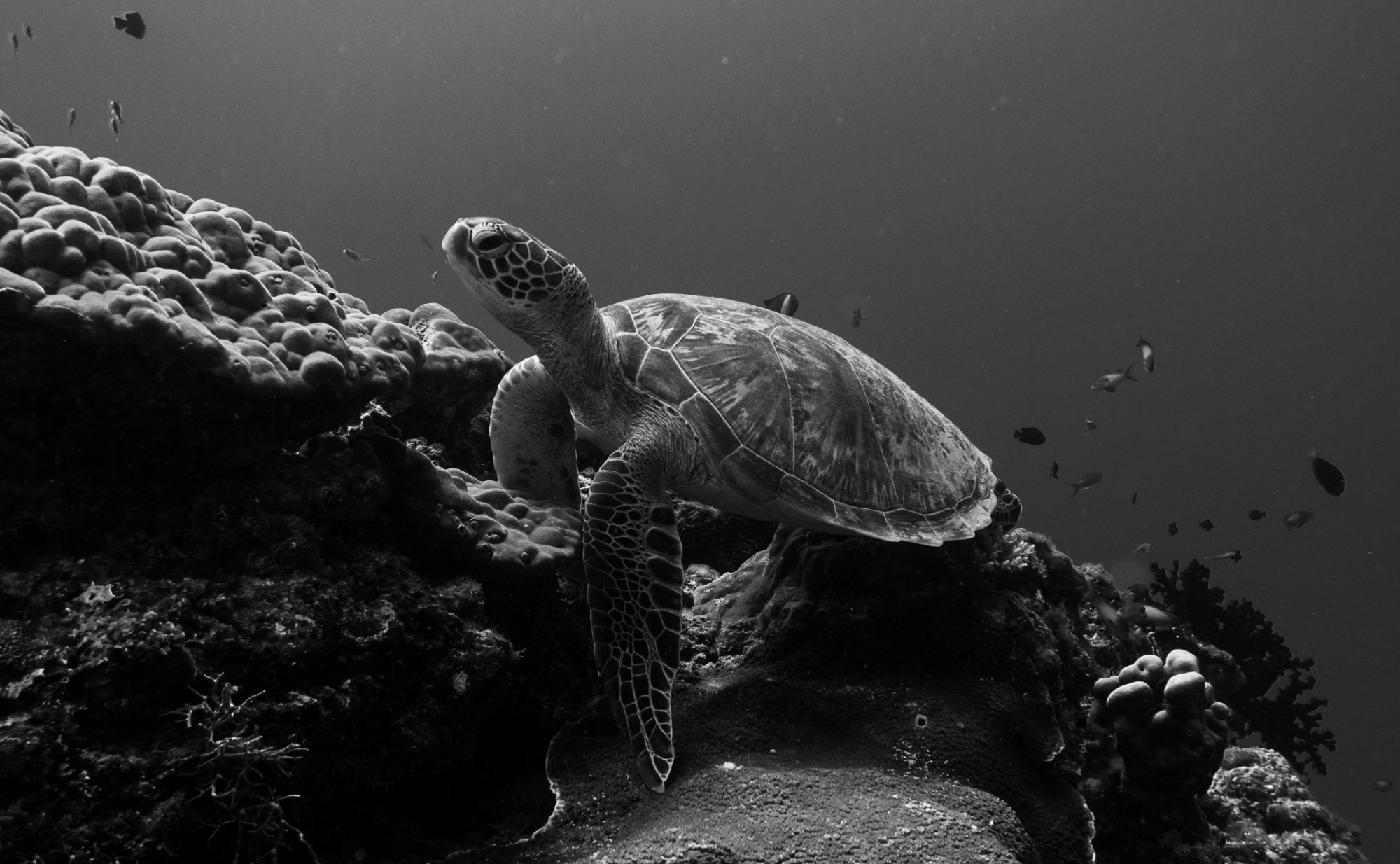 Fast & Silent 5 Watt PC: Minimizing Idle Power Usage